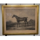 Paire de gravures "Cheval" par VERNET