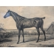 Paire de gravures "Cheval" par VERNET