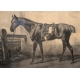 Paire de gravures "Cheval" par VERNET