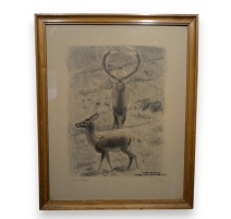 Gravure "Cerf et biche" signé HAINARD