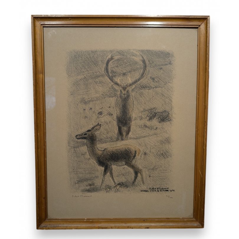 Gravure "Cerf et biche" signé HAINARD