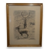 Gravure "Cerf et biche" signé HAINARD