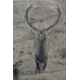 Gravure "Cerf et biche" signé HAINARD