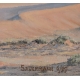 Tableau "Dunes en Namibie" signé SAUERMANN