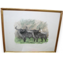 Swiss engraving on paper "Couple of buffaloes"