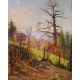 Tableau "Chemin de montagnes" signé C. PARISOD 24