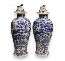 Paire de vases en pocelaine bleu blanc Dragon