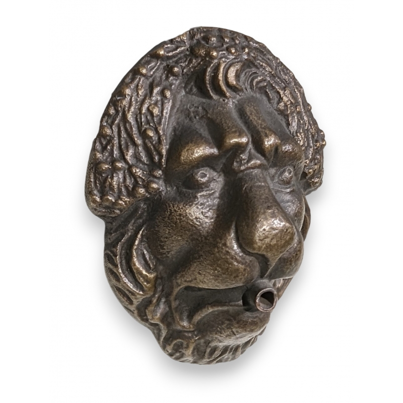 Goulot de fontaine Tête de Lion en bronze